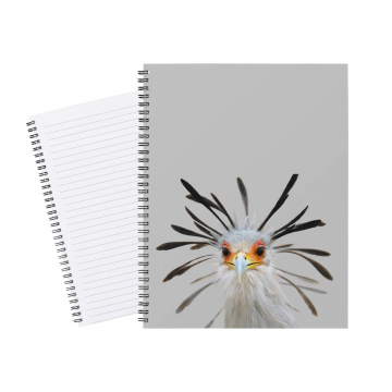 Notebook Funny Bird